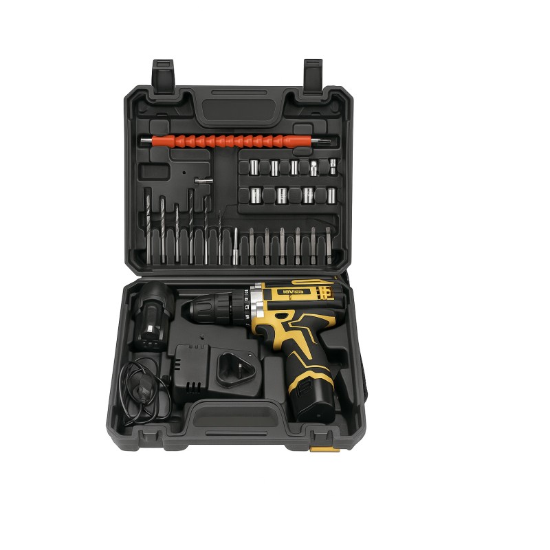12V Cordless Lithium-Ion Drill Driver with 2 Speeds and Carry Case